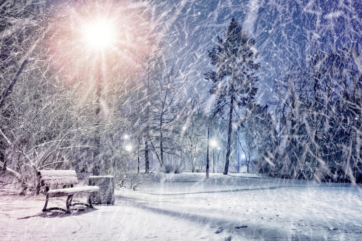 Winter Evening in Park wallpaper