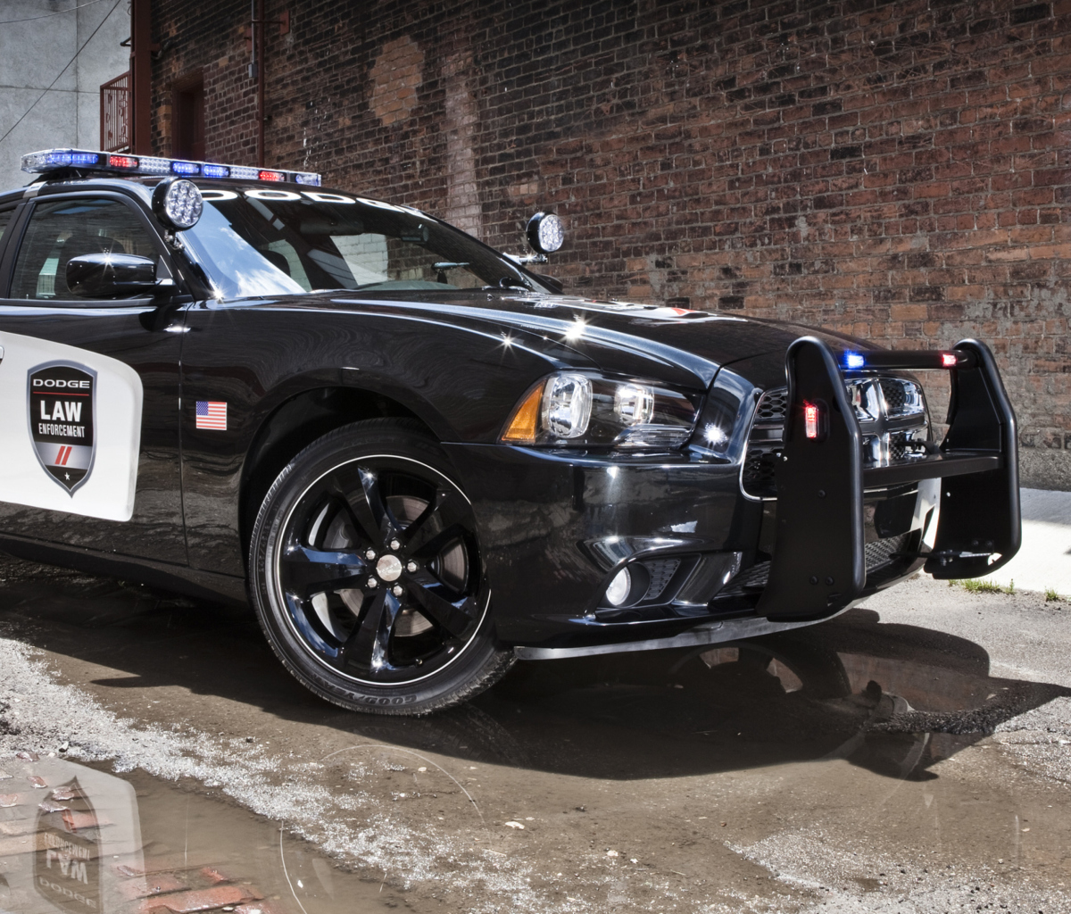 Fondo de pantalla Dodge Charger - Police Car 1200x1024