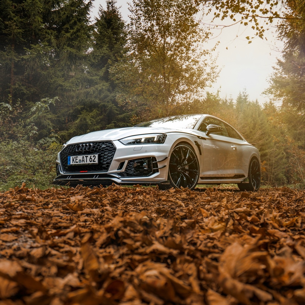 Audi RS5 Coupe wallpaper 1024x1024