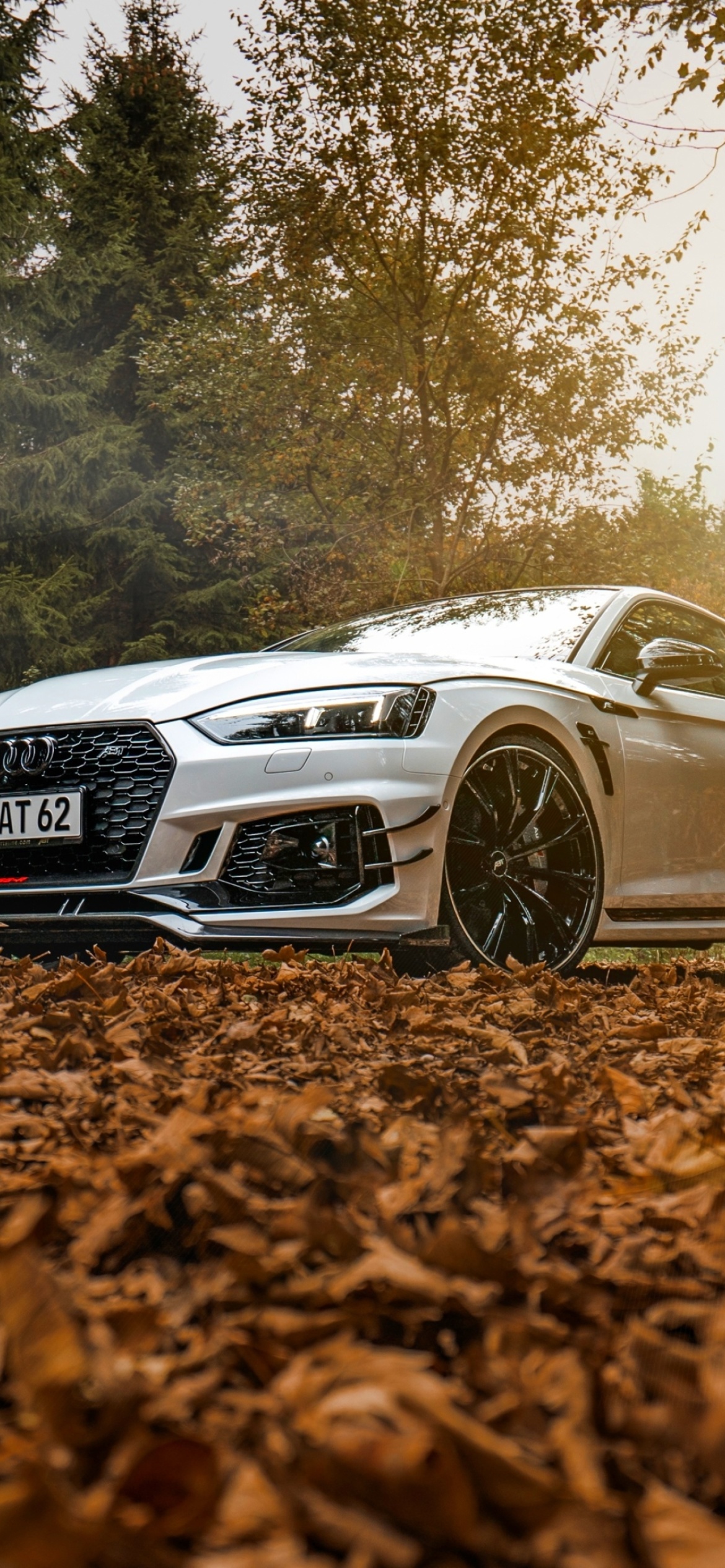 Audi RS5 Coupe wallpaper 1170x2532