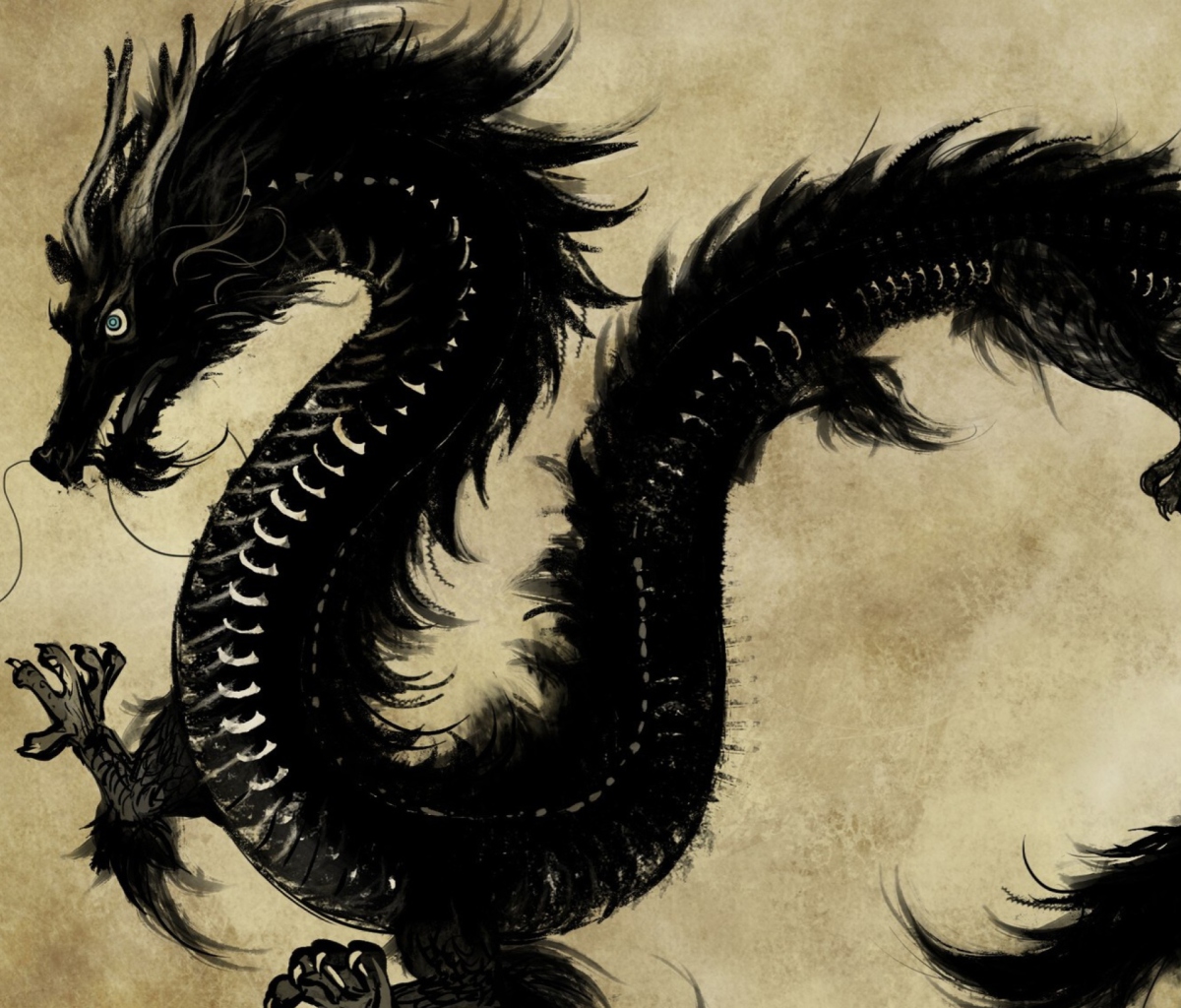 Das Chinese Black Dragon Wallpaper 1200x1024