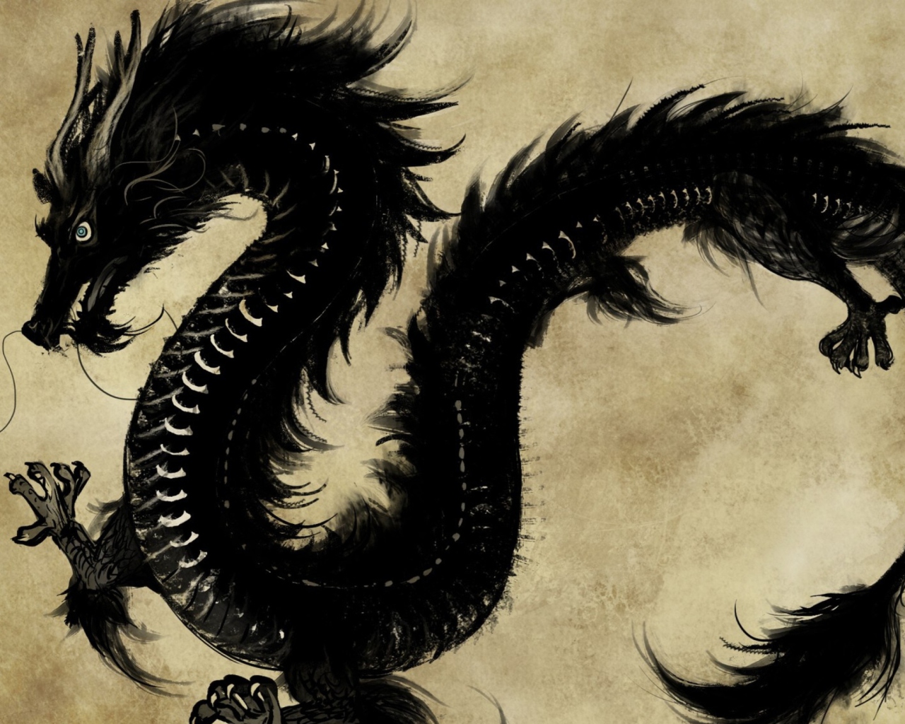 Das Chinese Black Dragon Wallpaper 1280x1024