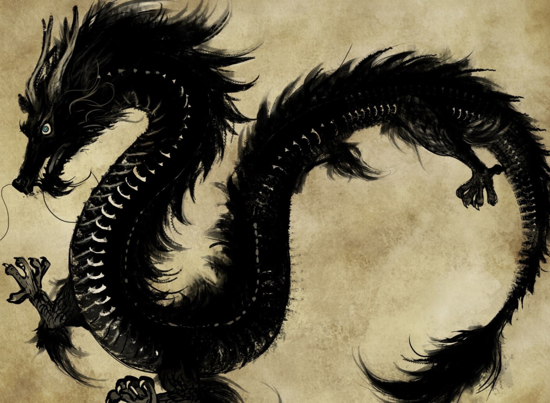 Das Chinese Black Dragon Wallpaper 1920x1408
