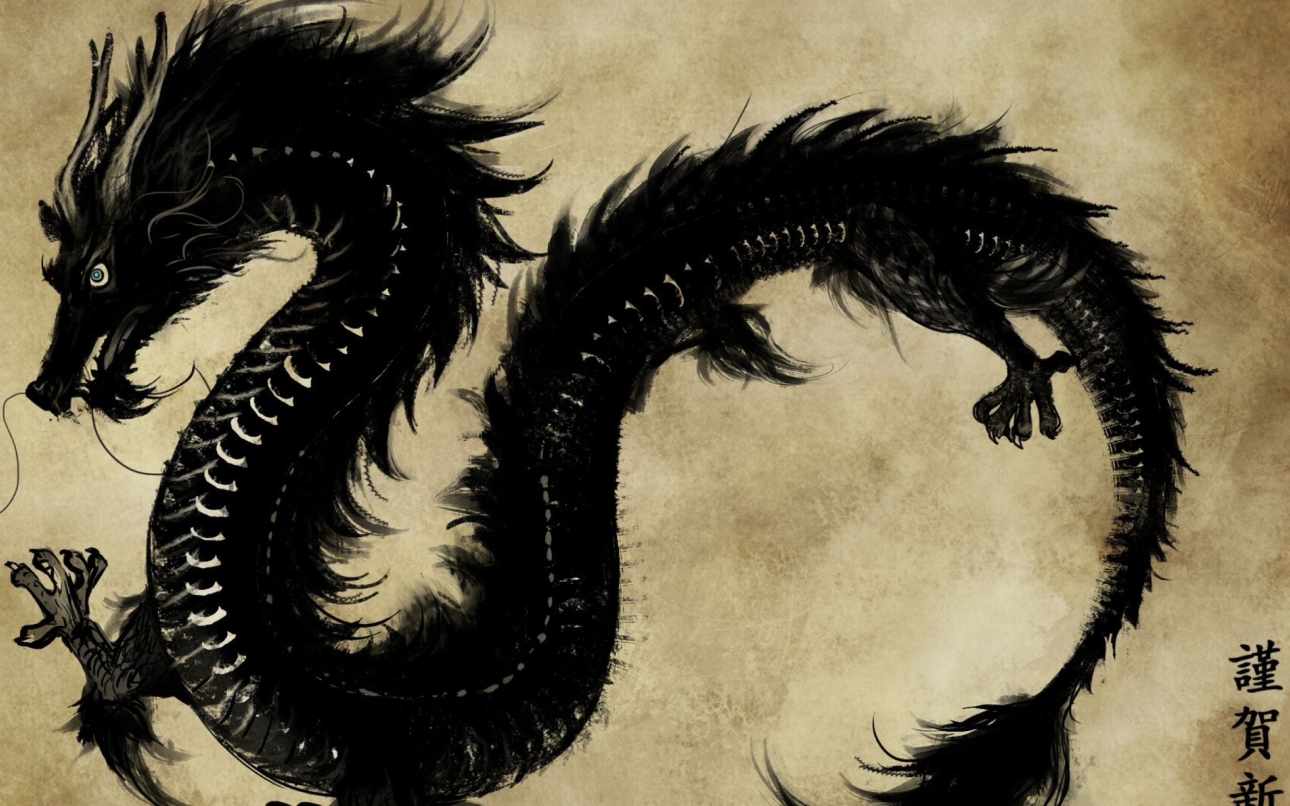 Das Chinese Black Dragon Wallpaper 2560x1600