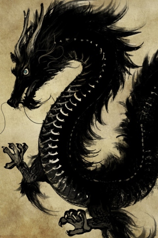 Das Chinese Black Dragon Wallpaper 320x480