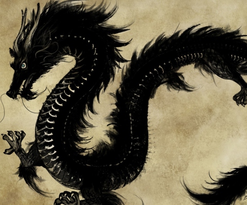 Das Chinese Black Dragon Wallpaper 480x400