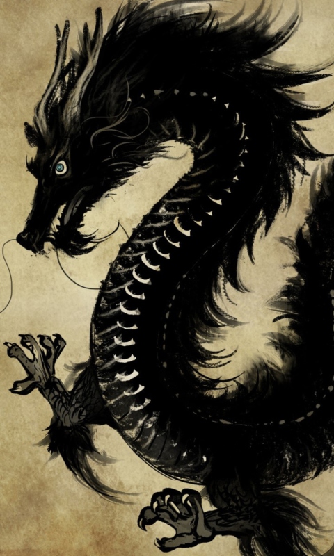 Chinese Black Dragon wallpaper 480x800