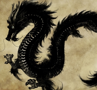 Chinese Black Dragon - Obrázkek zdarma pro iPad Air