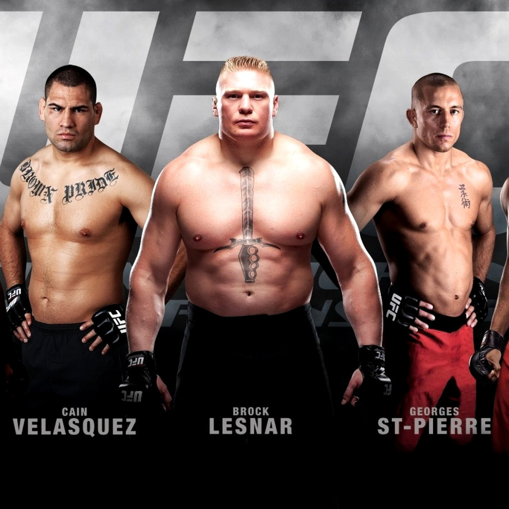 Das MMA mix Fighting, UFC Wallpaper 1024x1024