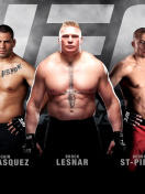 MMA mix Fighting, UFC wallpaper 132x176