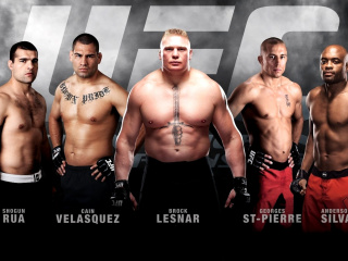 MMA mix Fighting, UFC wallpaper 320x240