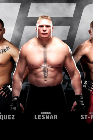 MMA mix Fighting, UFC wallpaper 320x480
