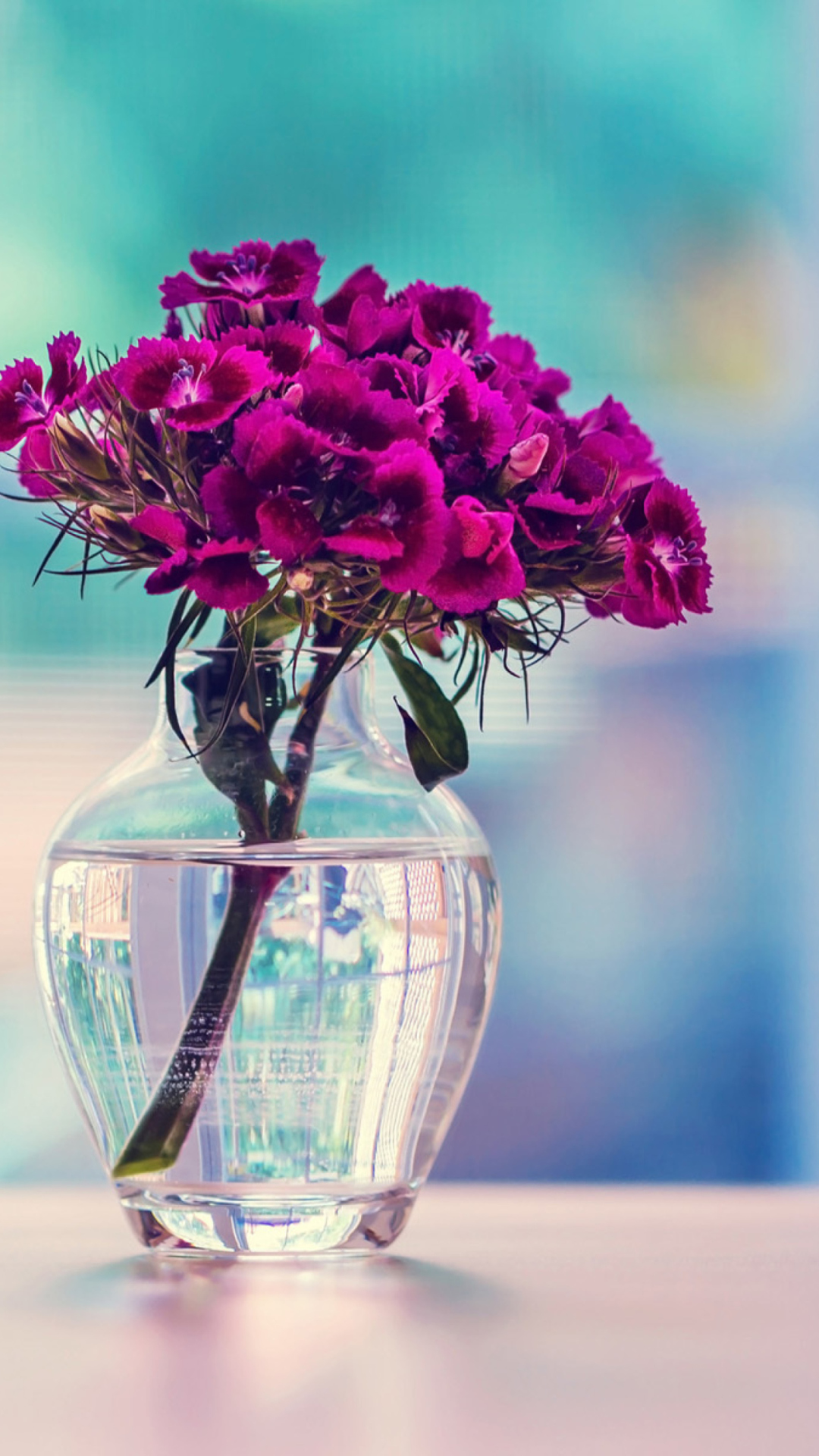 Sfondi Flowers In Vase 1080x1920