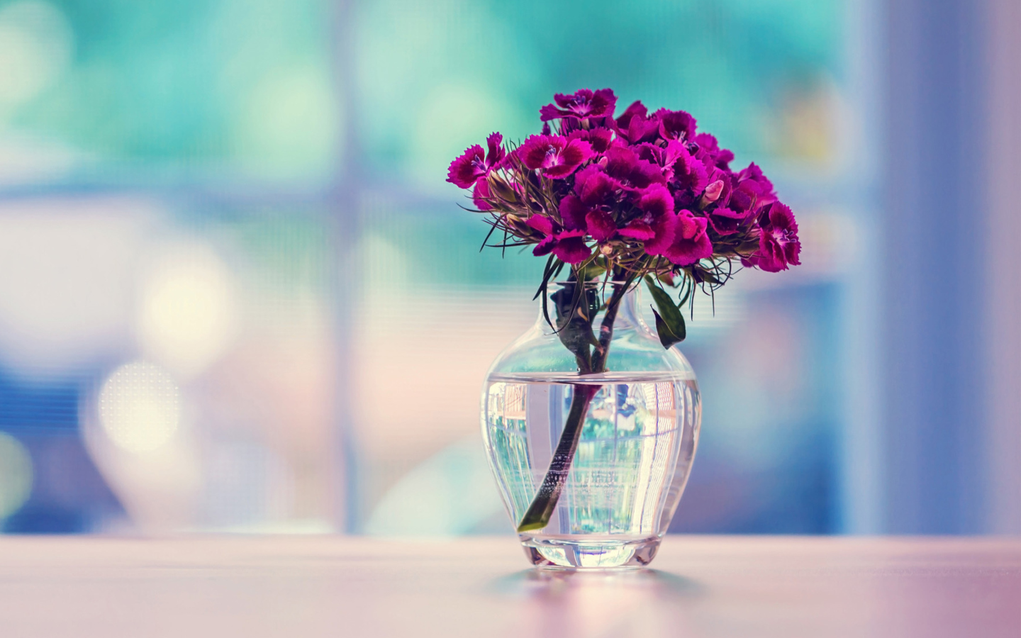 Flowers In Vase screenshot #1 1440x900