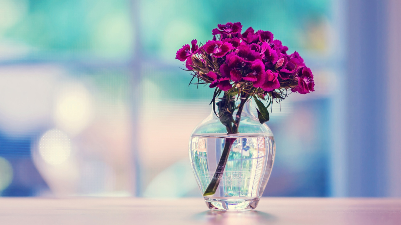 Flowers In Vase screenshot #1 1600x900