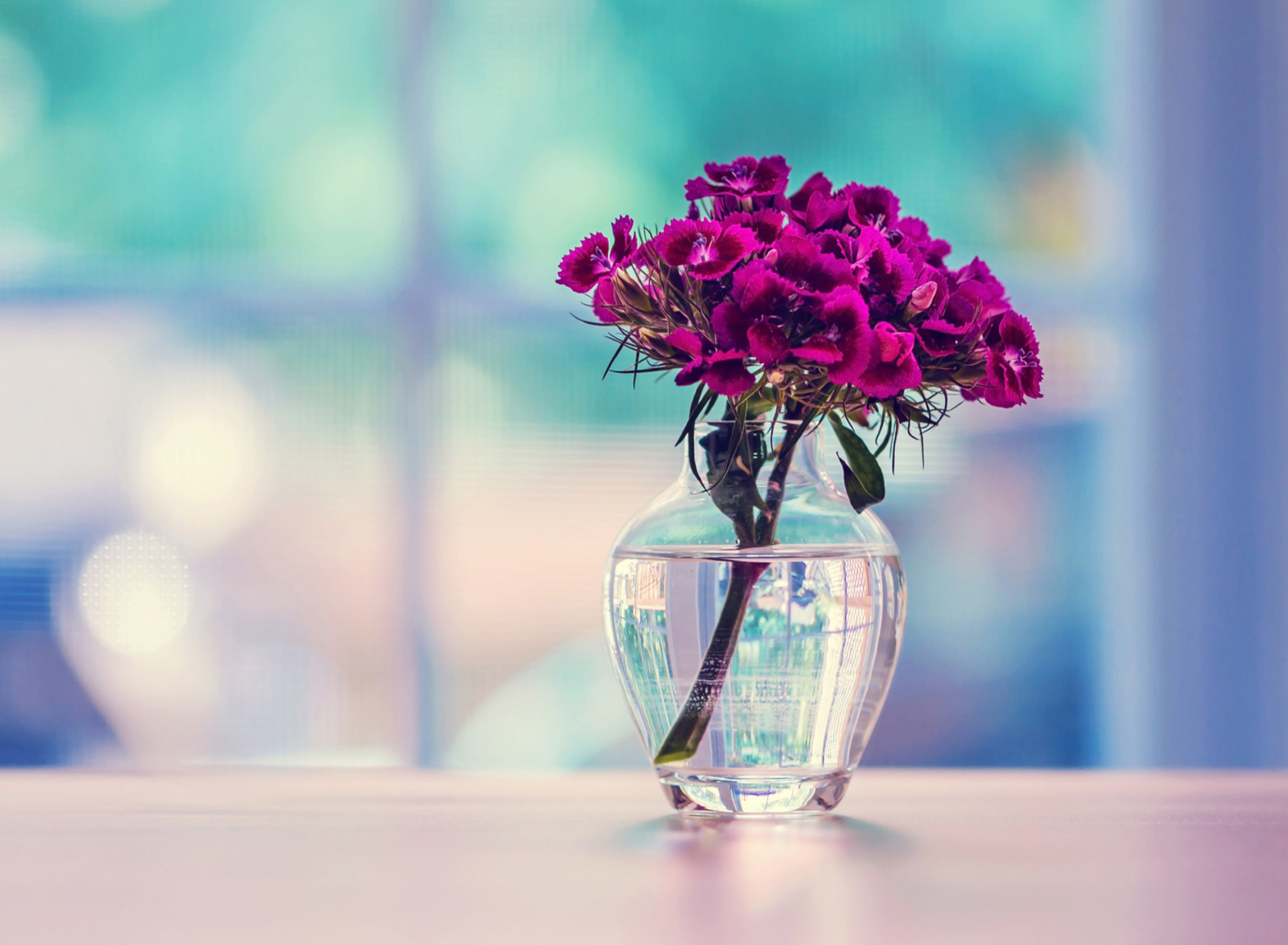 Flowers In Vase screenshot #1 1920x1408