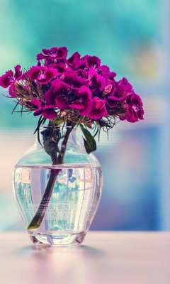 Flowers In Vase screenshot #1 240x400