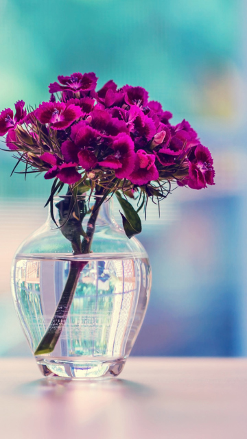 Обои Flowers In Vase 360x640