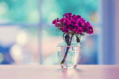 Flowers In Vase screenshot #1 480x320