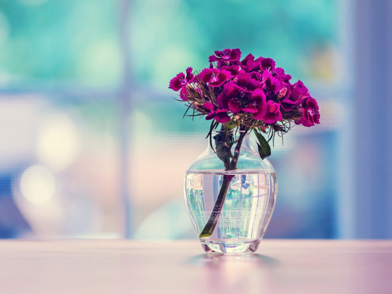 Flowers In Vase screenshot #1 800x600