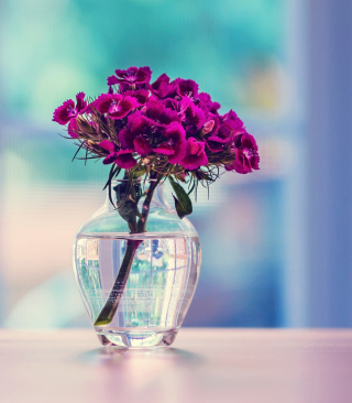 Kostenloses Flowers In Vase Wallpaper für Nokia 701