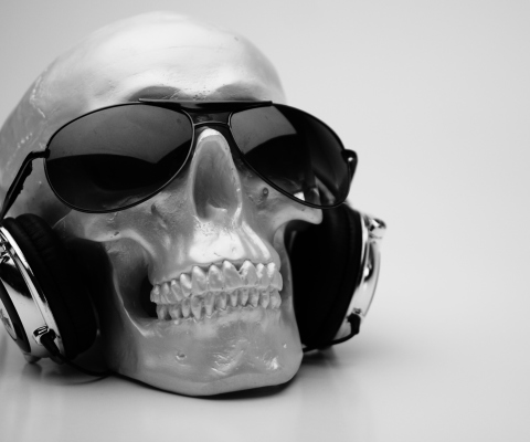 Screenshot №1 pro téma Fancy Skull 480x400