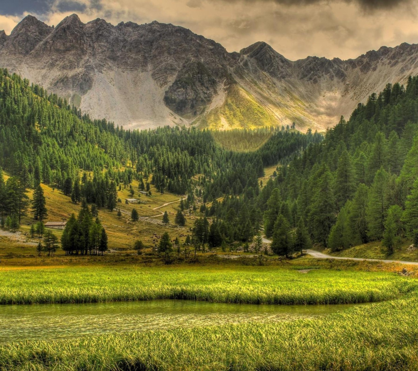 Screenshot №1 pro téma Green Nature Landscape 1440x1280
