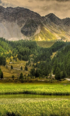 Green Nature Landscape screenshot #1 240x400