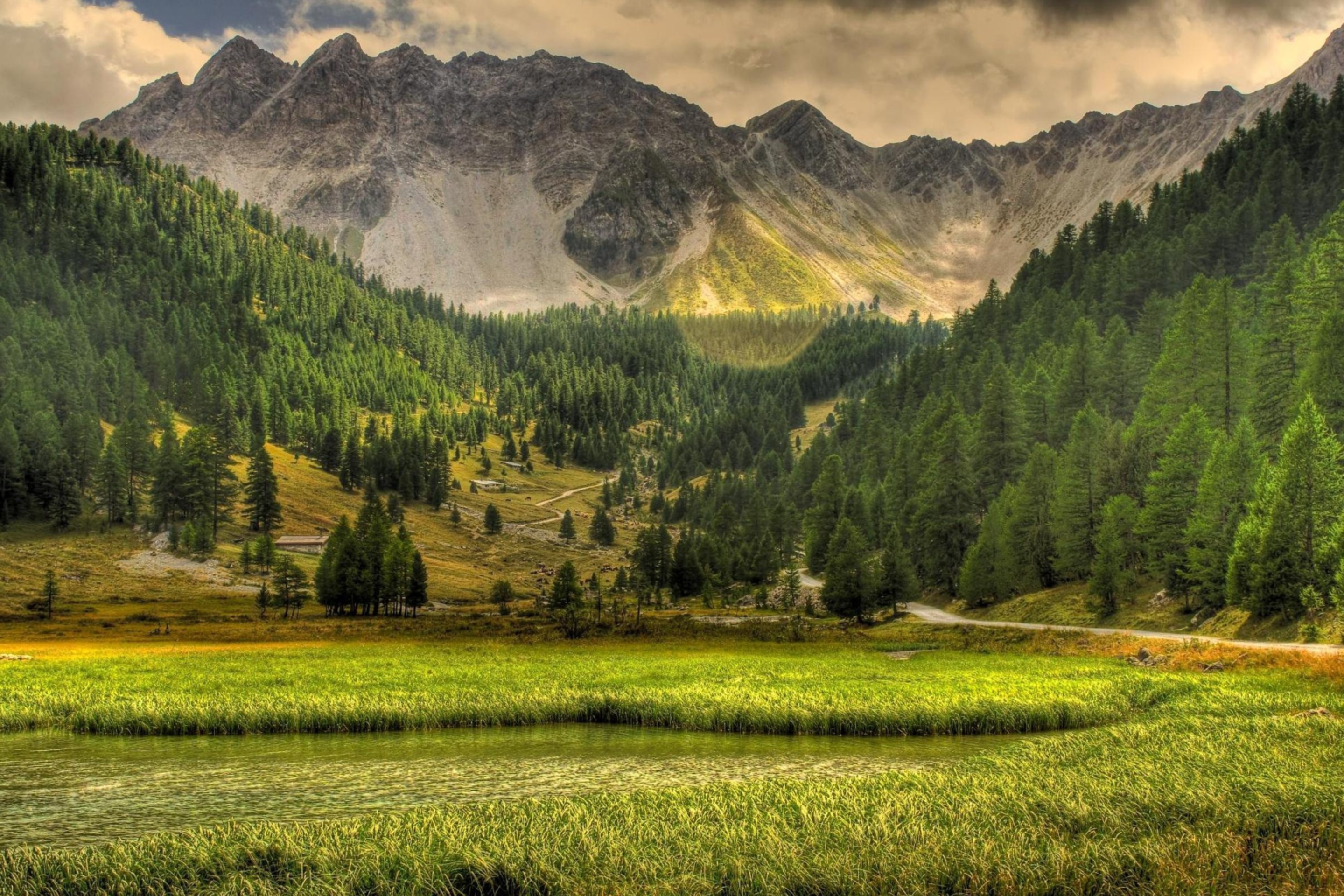 1400 1050. Грин Маунтин гора. Киргизия горы Долина Арашан. Сглаженный ландшафт Долина горы лес Тайга. Красивый пейзаж.