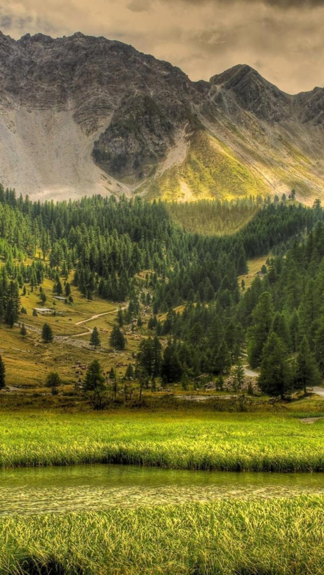 Green Nature Landscape screenshot #1 640x1136