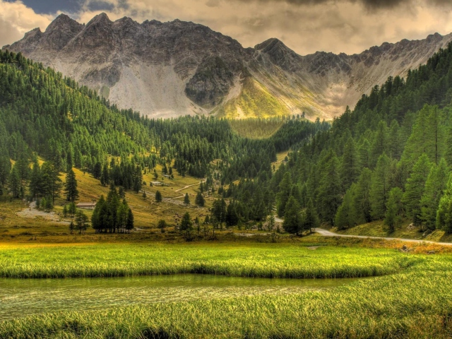 Fondo de pantalla Green Nature Landscape 640x480