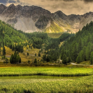 Green Nature Landscape - Obrázkek zdarma pro 208x208