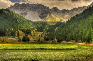 Green Nature Landscape - Obrázkek zdarma pro Nokia Asha 205