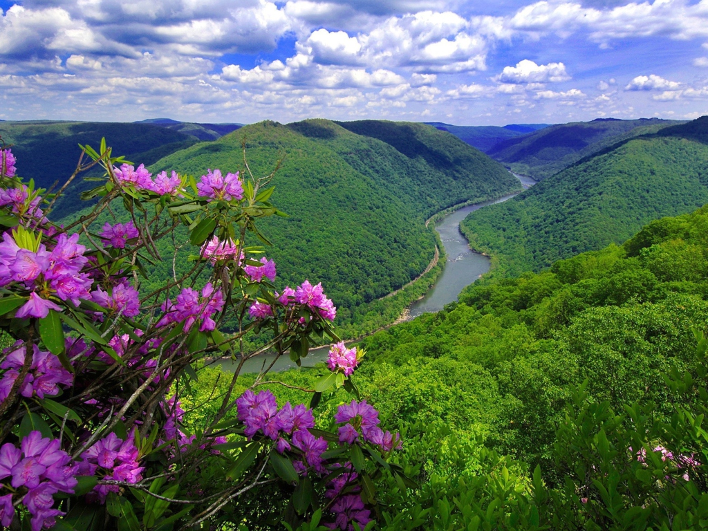 Das Beautiful Mountain River Wallpaper 1024x768