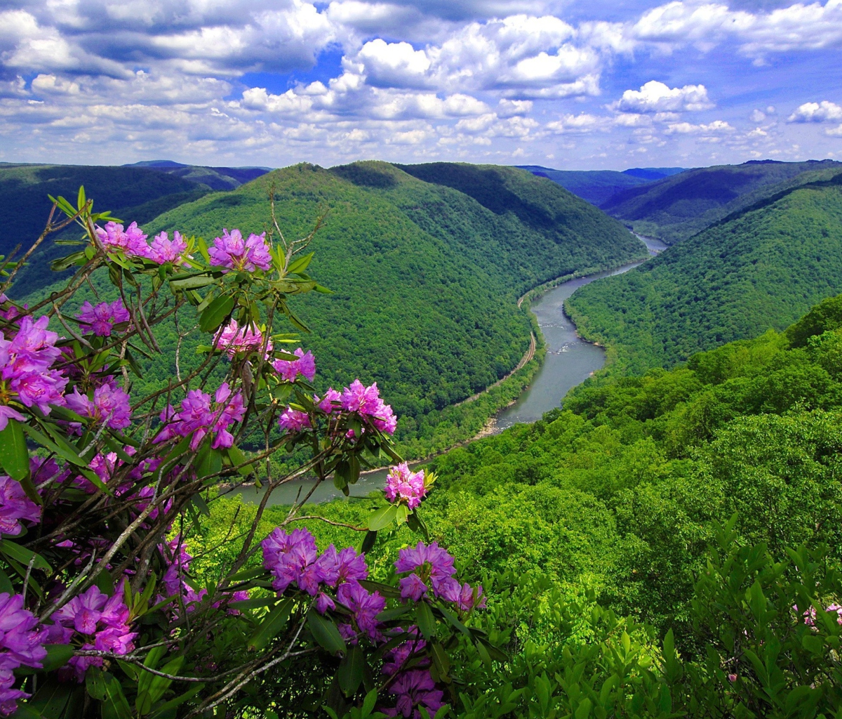 Beautiful Mountain River screenshot #1 1200x1024