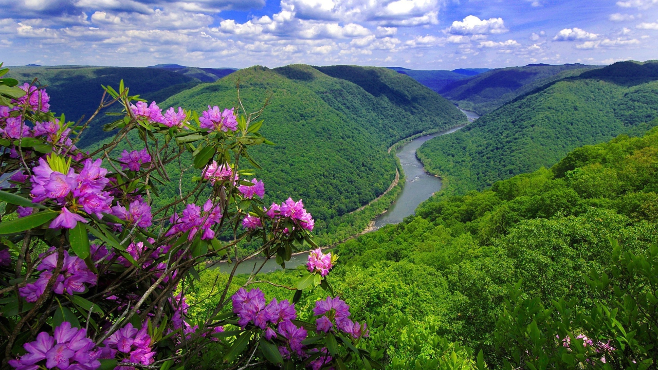 Fondo de pantalla Beautiful Mountain River 1280x720