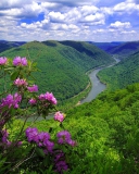 Fondo de pantalla Beautiful Mountain River 128x160