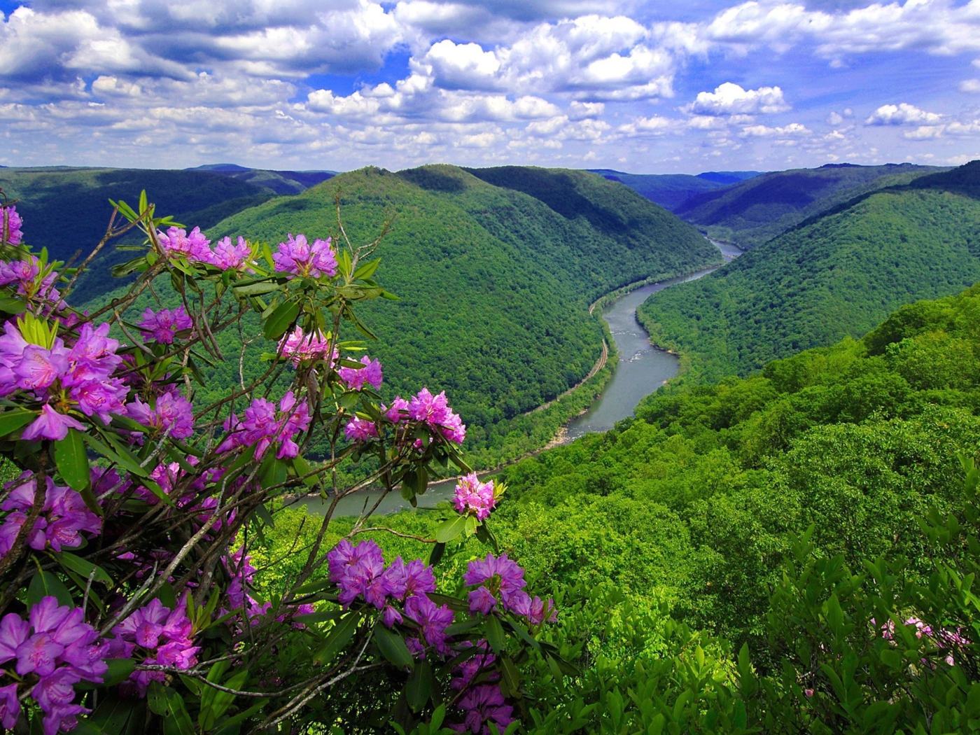 Обои Beautiful Mountain River 1400x1050