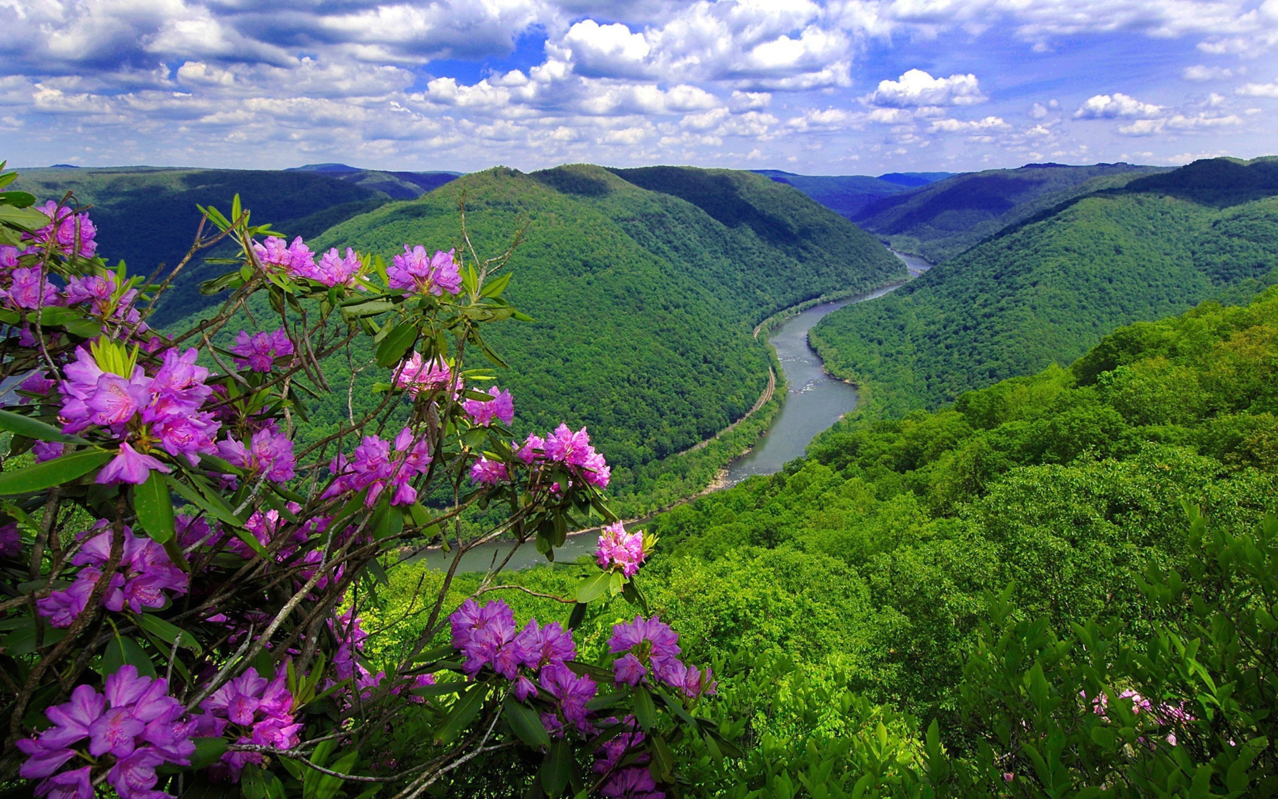 Beautiful Mountain River wallpaper 2560x1600