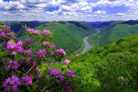 Fondo de pantalla Beautiful Mountain River 480x320