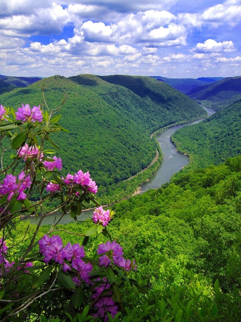 Обои Beautiful Mountain River 480x640