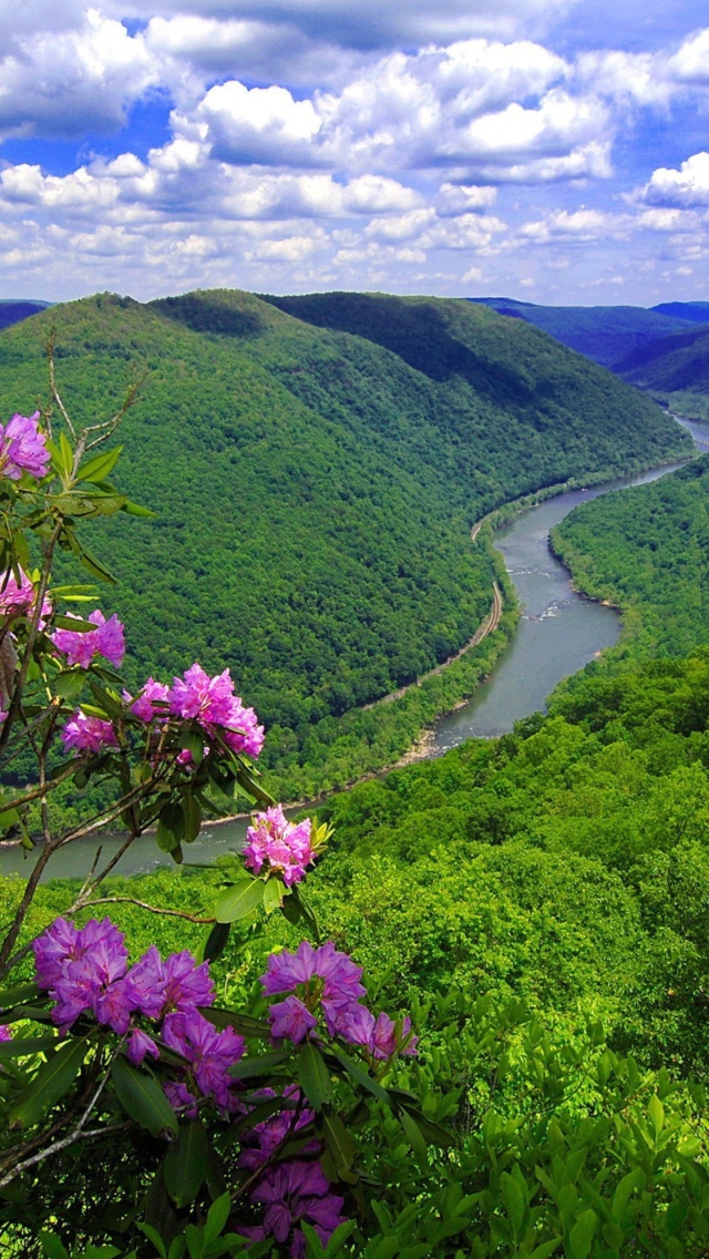 Fondo de pantalla Beautiful Mountain River 640x1136