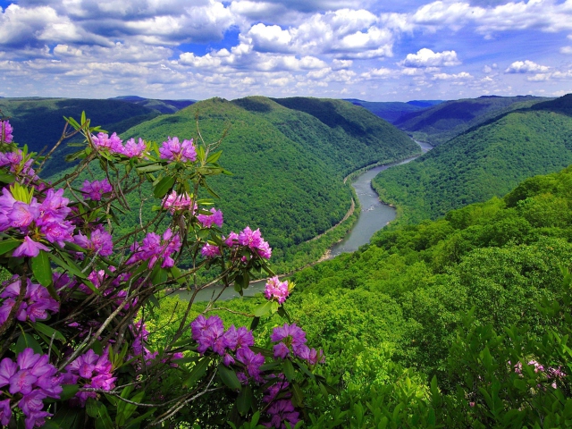 Sfondi Beautiful Mountain River 640x480