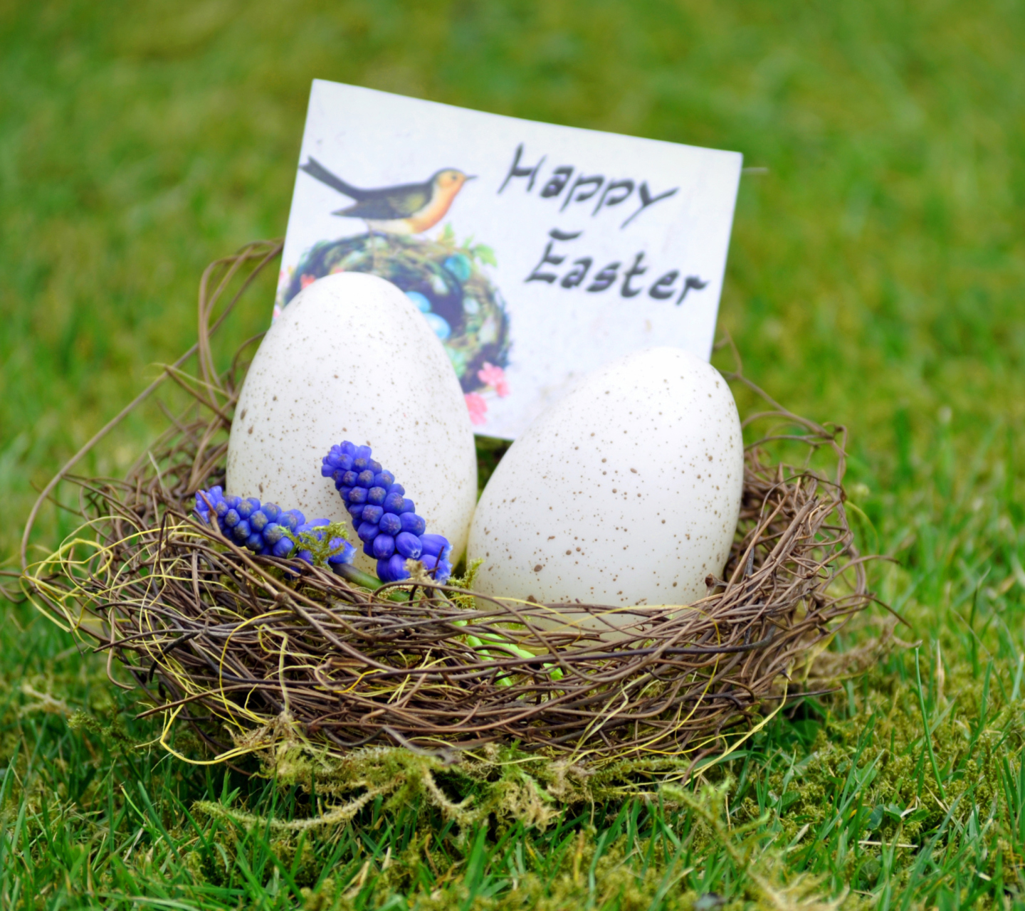 Обои Happy Easter Nest 1440x1280
