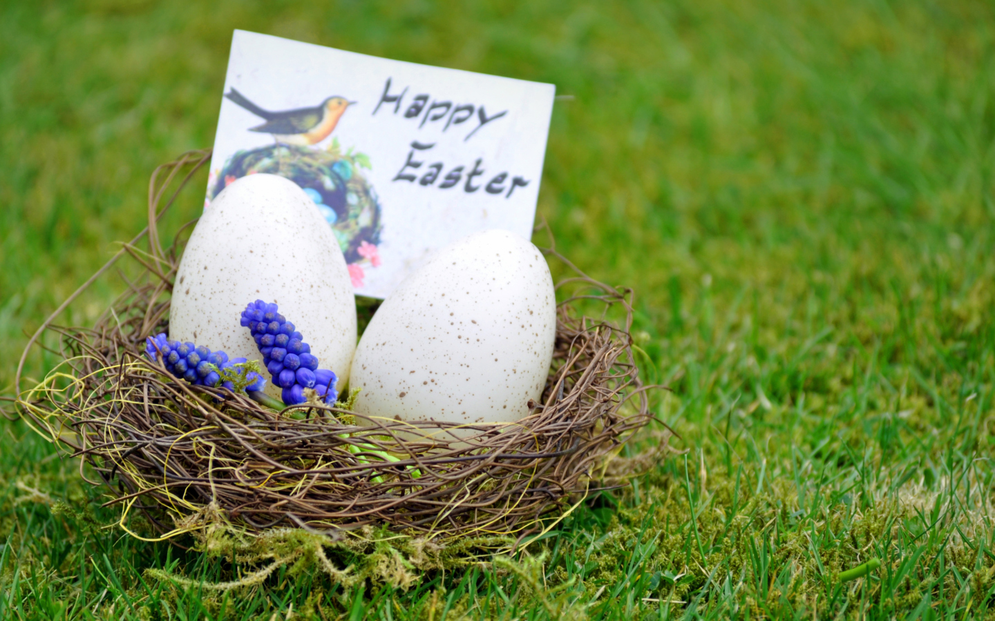 Обои Happy Easter Nest 1440x900