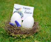 Sfondi Happy Easter Nest 176x144