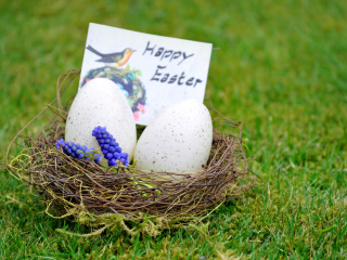 Happy Easter Nest wallpaper 320x240