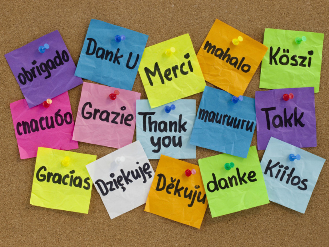 Sfondi How To Say Thank You in Different Languages 1152x864