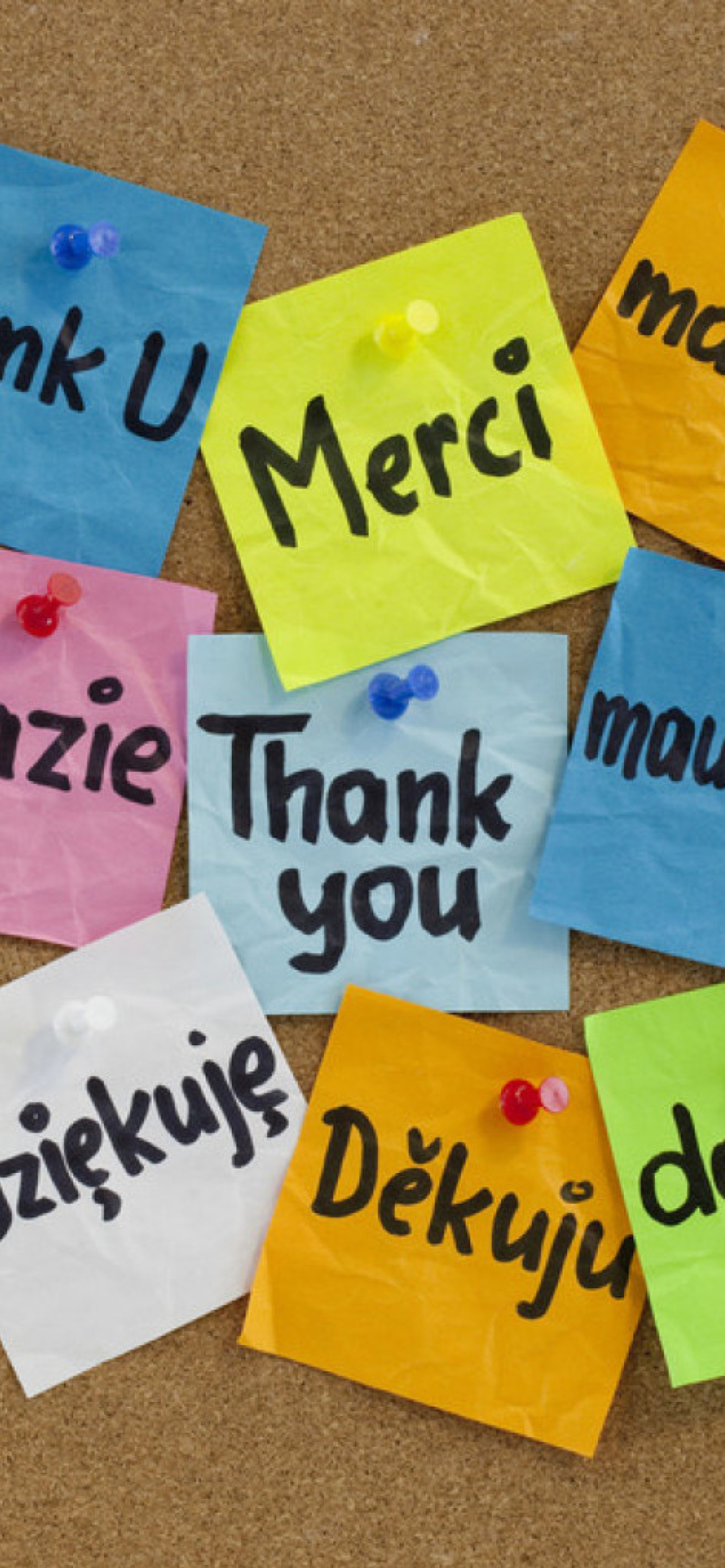 Fondo de pantalla How To Say Thank You in Different Languages 1170x2532
