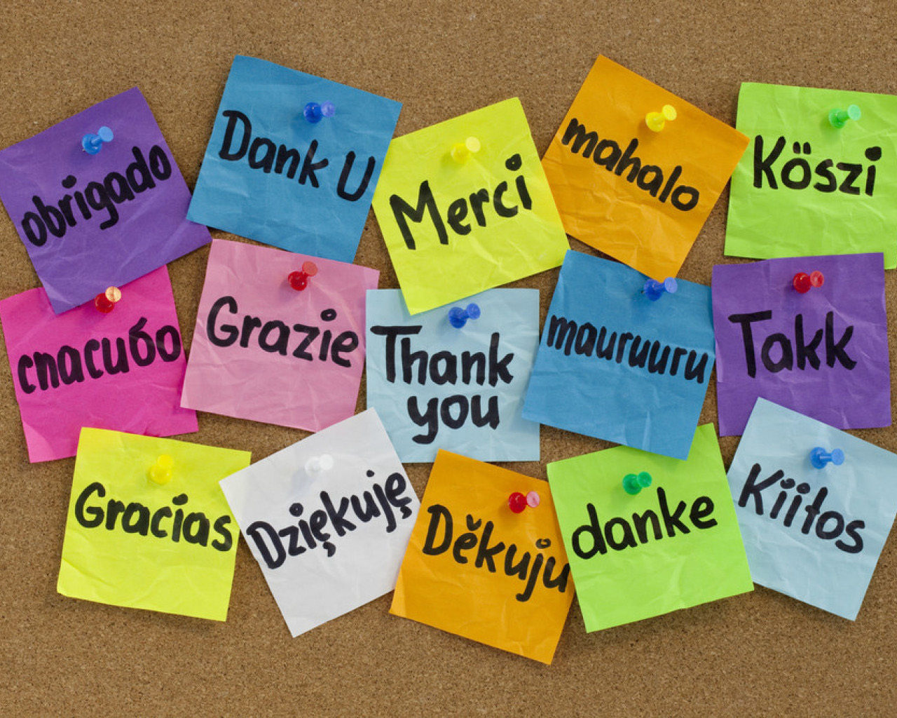 Das How To Say Thank You in Different Languages Wallpaper 1280x1024
